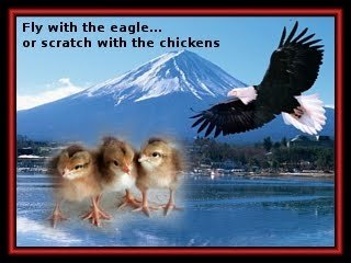 mit dem Adler oder dem Hahn mit den Hühnern fliegen