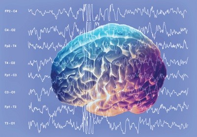 brain waves of the brain Alpha, Beta, Theta, Delta and Gamma